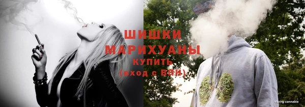 прущие грибы Бородино