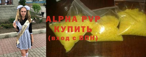 прущие грибы Бородино