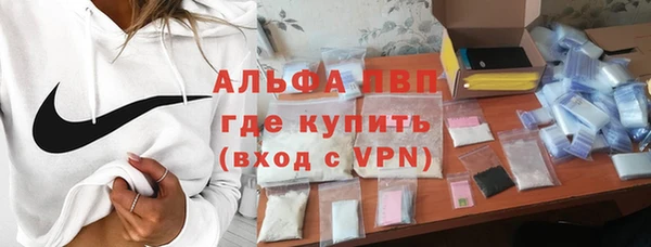 прущие грибы Бородино