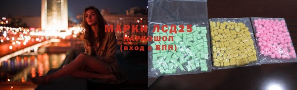 прущие грибы Бородино