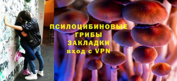 прущие грибы Бородино