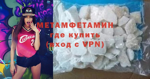 прущие грибы Бородино