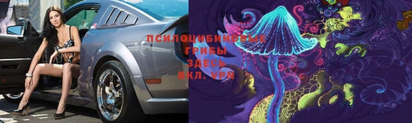 прущие грибы Бородино