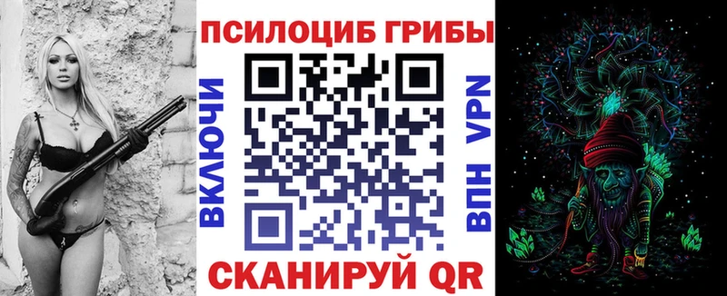 Купить  Касли  Галлюциногенные грибы Magic Shrooms 